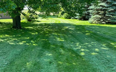 Photo of Andrea C.'s yard after getting lawn care in West Bend, WI