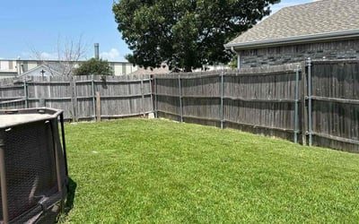 Photo of Mercedes W.'s yard after getting lawn care in Philadelphia, PA