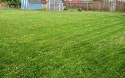 Photo of Tracy M.'s yard after getting lawn care in Amherst, OH