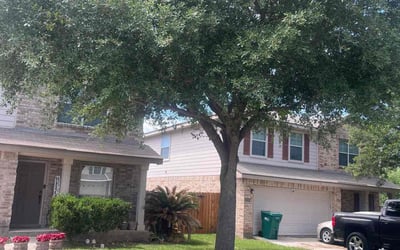 Photo of Cheryl E.'s yard after getting lawn care in Universal City, TX