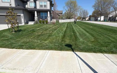 Photo of Kim G.'s yard after getting lawn care in Shawnee, KS
