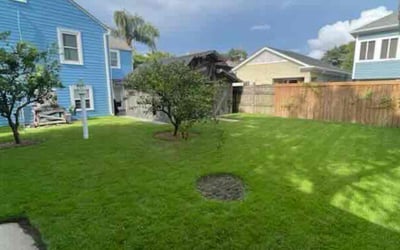 Photo of Tamara W.'s yard after getting lawn care in Garner, NC