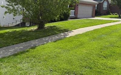 Photo of Jennie P.'s yard after getting lawn care in Taylorsville, KY