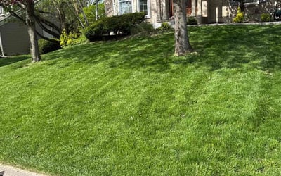 Photo of Luis Q.'s yard after getting lawn care in Maineville, OH