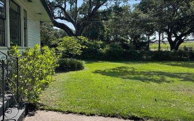 Photo of Sarah T.'s yard after getting lawn care in Ronkonkoma, NY
