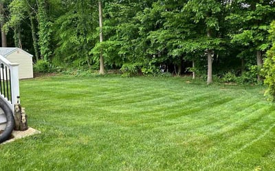 Photo of Daria S.'s yard after getting lawn care in Abingdon, MD