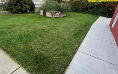 Photo of Joseph M.'s yard after getting lawn care in Ogden, UT