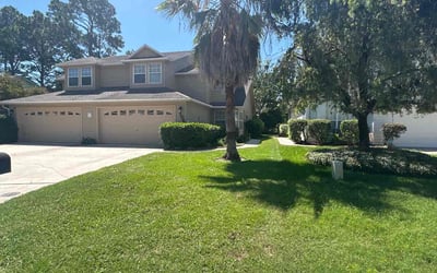 Photo of Lynnell L.'s yard after getting lawn care in Fernandina Beach, FL