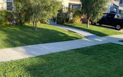 Photo of CLARA I.'s yard after getting lawn care in Los Angeles, CA