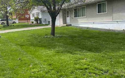 Photo of Bob H.'s yard after getting lawn care in Hastings, MN