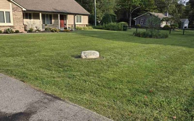 Photo of Syed R.'s yard after getting lawn care in Zionsville, IN