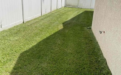 Photo of Margot A.'s yard after getting lawn care in Little Neck, NY