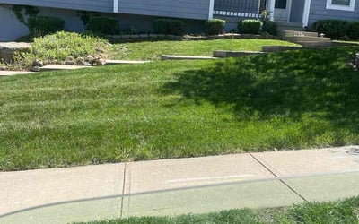 Photo of Diane R.'s yard after getting lawn care in Blue Springs, MO