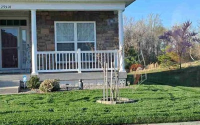 Photo of Curtiss P.'s yard after getting lawn care in Millsboro, DE