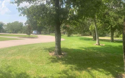 Photo of Latonya D.'s yard after getting lawn care in Minneapolis, MN