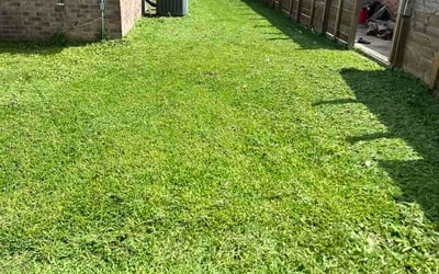 Photo of Jeffrey R.'s yard after getting lawn care in Mount Airy, MD