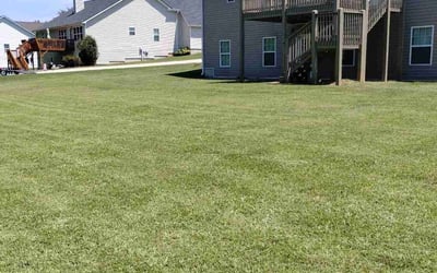 Photo of Rama T.'s yard after getting lawn care in Villa Rica, GA