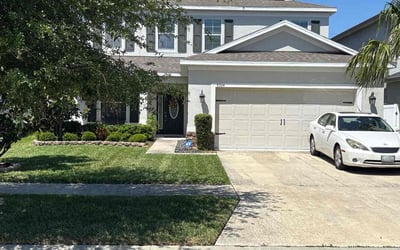 Photo of Jacqueline D.'s yard after getting lawn care in Riverview, FL