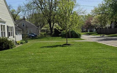 Photo of Austin B.'s yard after getting lawn care in Indianapolis, IN