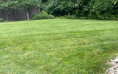 Photo of Ric & Betty S.'s yard after getting lawn care in London, OH