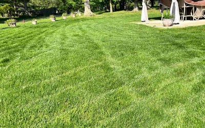 Photo of Sherry H.'s yard after getting lawn care in Lanham, MD