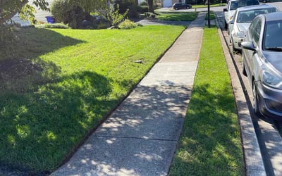 Photo of Kevin R.'s yard after getting lawn care in Damascus, MD