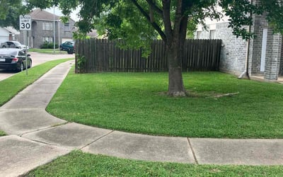 Photo of Carol B.'s yard after getting lawn care in Spring Hill, FL