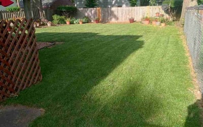 Photo of Dakota c.'s yard after getting lawn care in Lees Summit, MO