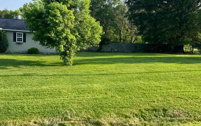 Photo of Holly F.'s yard after getting lawn care in Spokane, WA