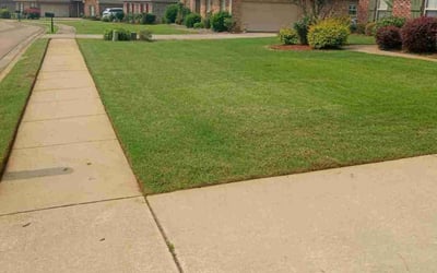 Photo of Nancy D.'s yard after getting lawn care in Canton, MS
