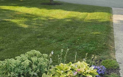 Photo of Marian S.'s yard after getting lawn care in Grafton, WI