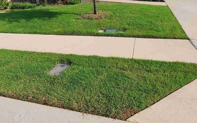 Photo of Michael C.'s yard after getting lawn care in Port Washington, NY