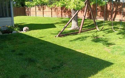 Photo of Richard B.'s yard after getting lawn care in Elwood, IN