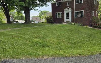 Photo of Marie B.'s yard after getting lawn care in West Newton, PA