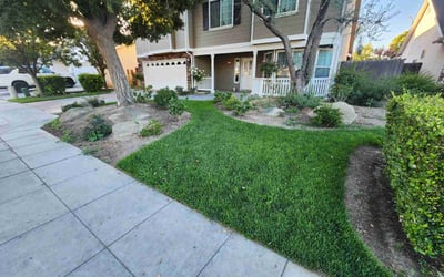 Photo of Shellene M.'s yard after getting lawn care in Lincoln, NE