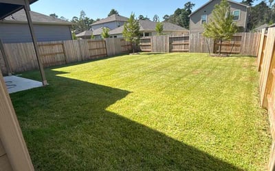 Photo of Rich J.'s yard after getting lawn care in Willis, TX