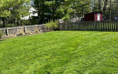 Photo of Alex M.'s yard after getting lawn care in Logan, OH