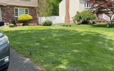 Photo of Debbrin L.'s yard after getting lawn care in Sewell, NJ