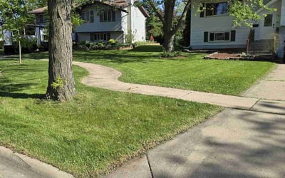 Photo of James K.'s yard after getting lawn care in Schaumburg, IL