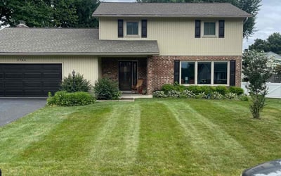 Photo of Abdul S.'s yard after getting lawn care in Denver, PA
