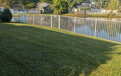 Photo of Elizabeth A.'s yard after getting lawn care in Jacksonville, FL