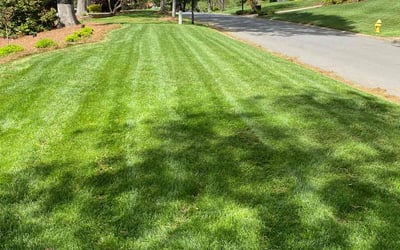 Photo of Linda B.'s yard after getting lawn care in Newton, NC
