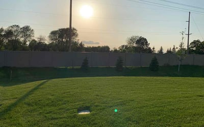 Photo of Dennis K.'s yard after getting lawn care in Blaine, MN