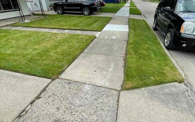 Photo of Tracy M.'s yard after getting lawn care in Hazel Park, MI