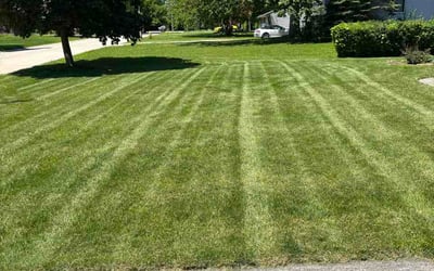 Photo of Thomas S.'s yard after getting lawn care in Eastlake, OH