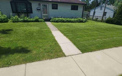 Photo of Jamal L.'s yard after getting lawn care in Glendale Heights, IL