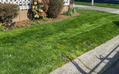 Photo of Makenzie O.'s yard after getting lawn care in Enumclaw, WA