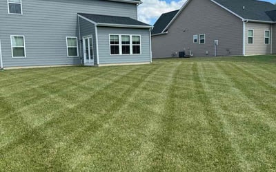 Photo of Siti L.'s yard after getting lawn care in Tucker, GA