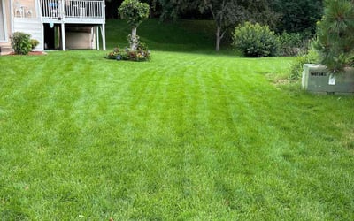 Photo of Christina c.'s yard after getting lawn care in Oakdale, MN