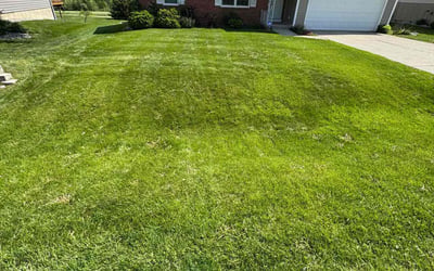 Photo of Judy S.'s yard after getting lawn care in Albany, NY